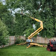 Best Sod Installation  in Warrenton, GA